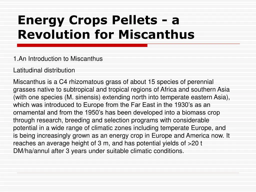 energy crops pellets a revolution for miscanthus