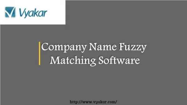 Company Name Fuzzy Matching Software