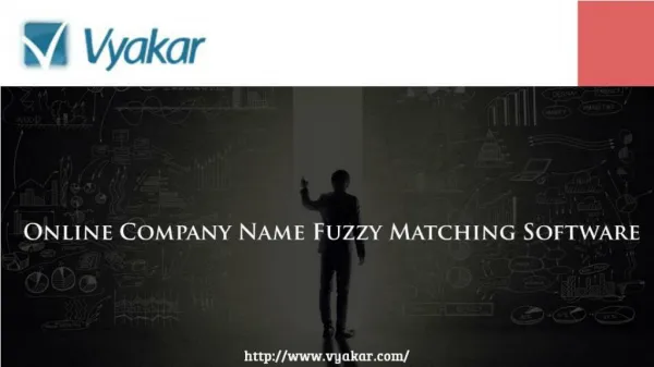 Online Company Name fuzzy Matching software
