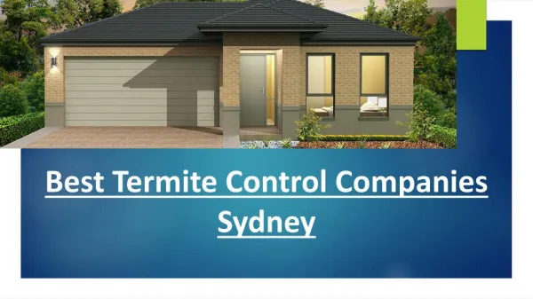 Best termite treatment sydney