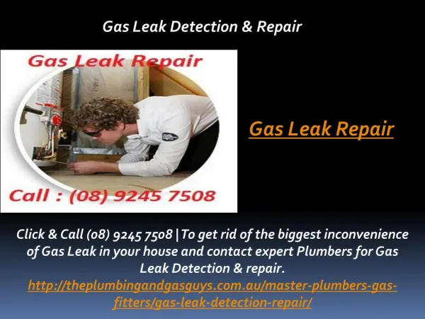 Gas Leak Repair