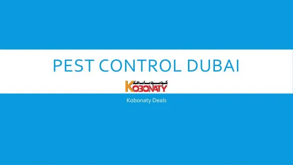 Pest Control Dubai