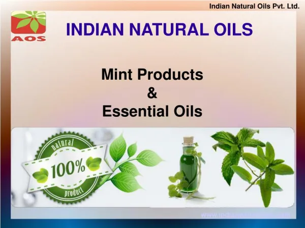 Natural Mint Products and Essential Oils