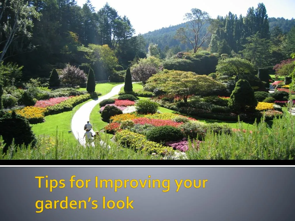 tips for improving your garden s look