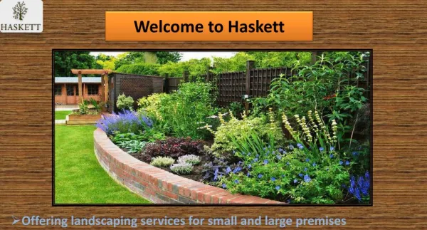 Modern Garden Design - Haskett