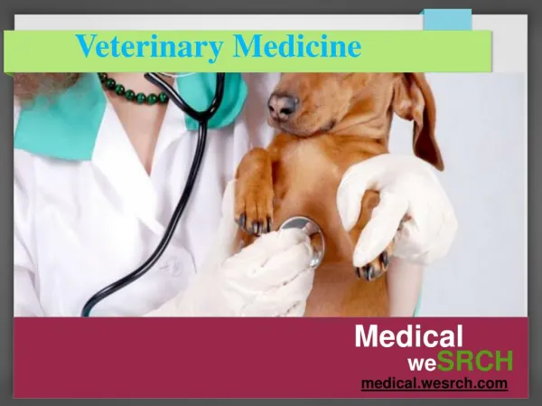 Learn about Veterinary Medicine