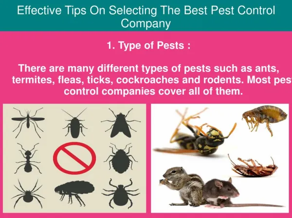 Effective Tips On Selecting The Best Pest Control Company