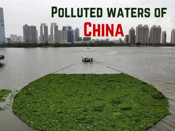 Polluted waters of China