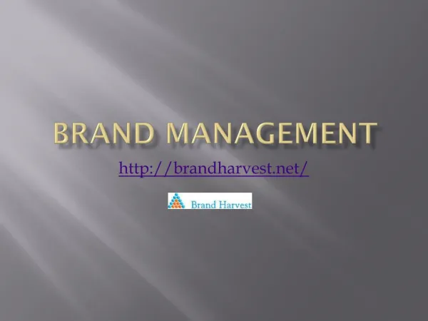 Brand Management