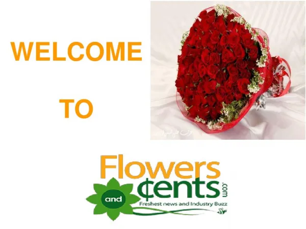 Logistic Floral Services And Flower Arrangements