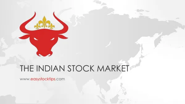 The Indian Stock Market