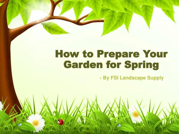 How to Prepare Your Garden for Spring