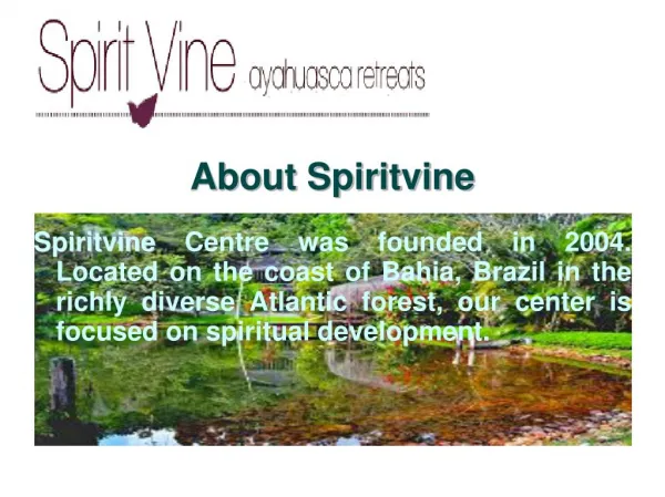 Ayahuasca retreat center in Brazil at SpiritVine