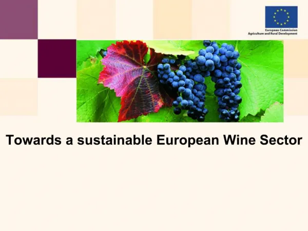 Towards a sustainable European Wine Sector