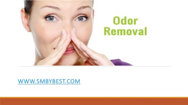 Odor Removal Services By Service Master by Best