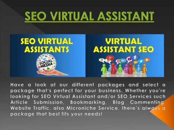 SEO Virtual Assistant India