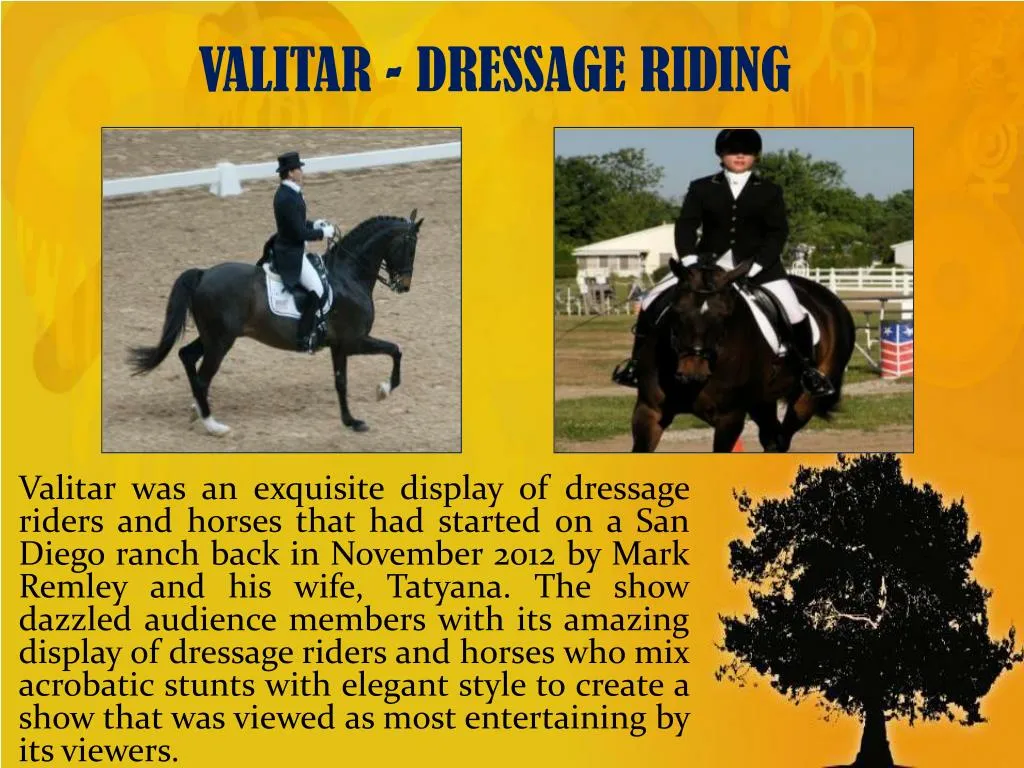 valitar dressage riding