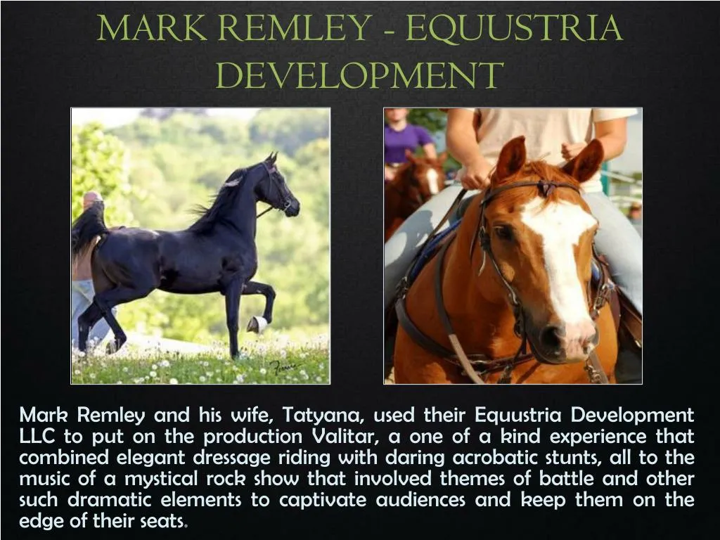 mark remley equustria development