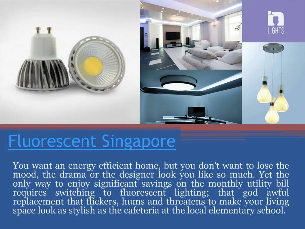 fluorescent singapore