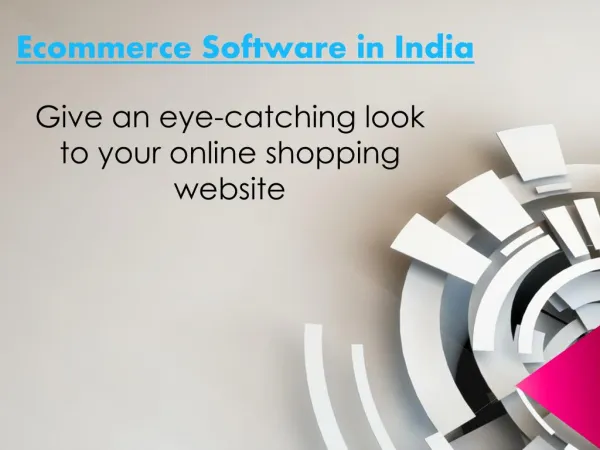 About Ecommerce Software