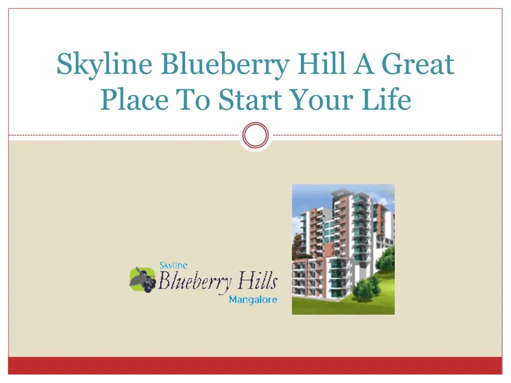 skyline blueberry hill a great place to start your life