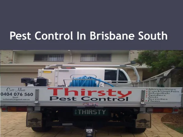 Pest Control In Brisbane South
