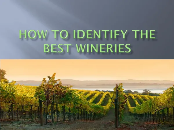How to Identify the Best Wineries