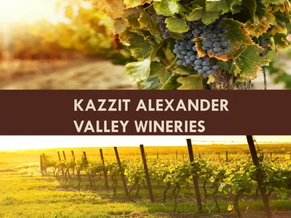 Kazzit Alexander Valley Wineries
