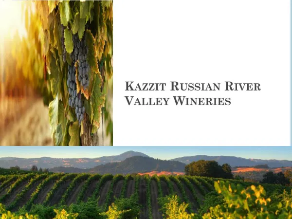 Kazzit Russian River Valley Wineries