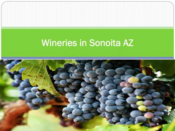 Wineries in Sonoita AZ