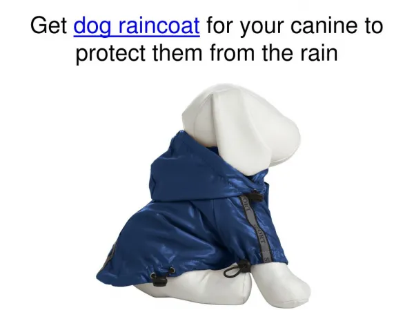 Get dog raincoats for your canine to protect them from the r