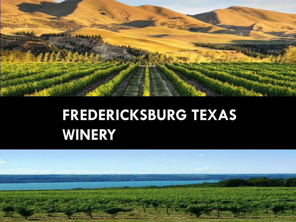 fredericksburg texas winery