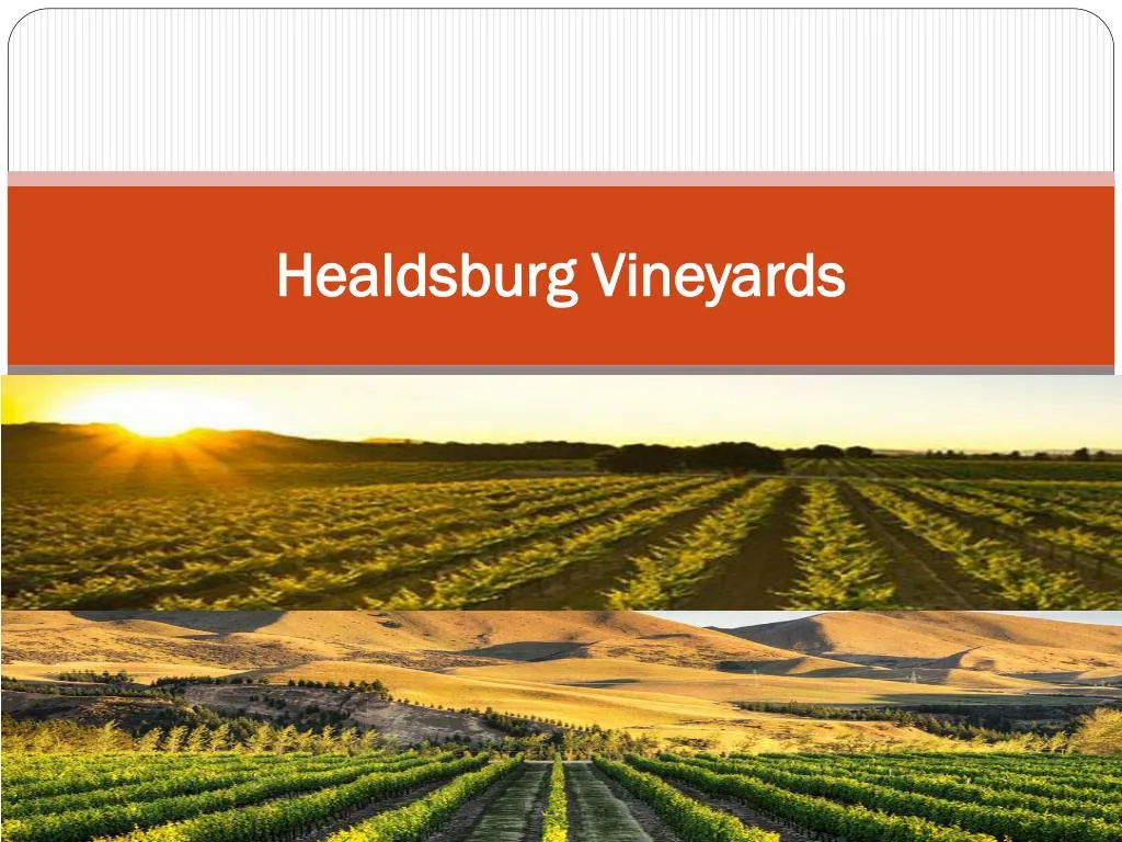 healdsburg vineyards