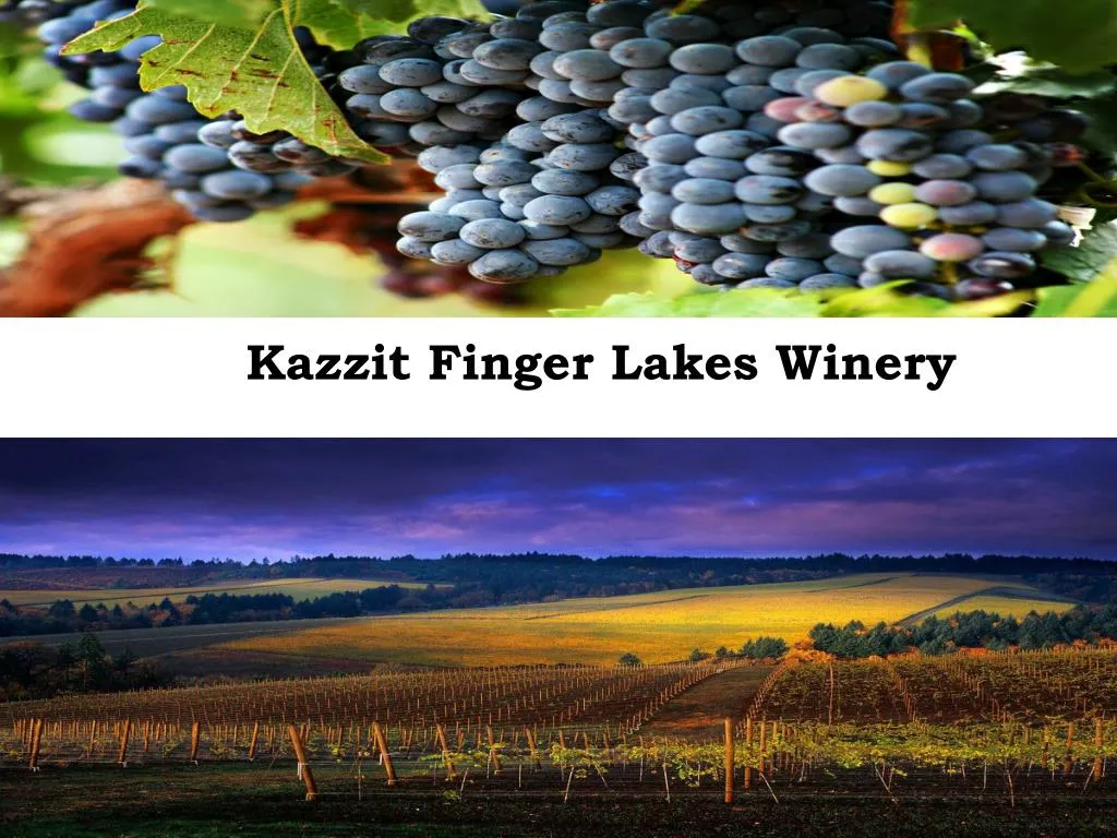 kazzit finger lakes winery