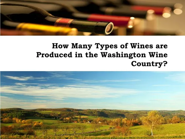 How Many Types of Wines are Produced in the Washington Wine