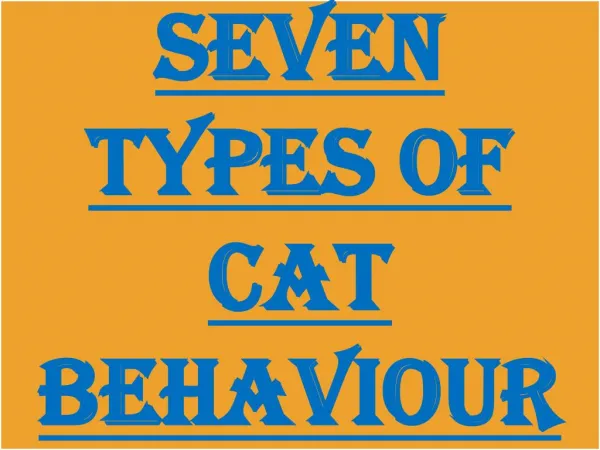 Seven Types of Ctas Behaviour