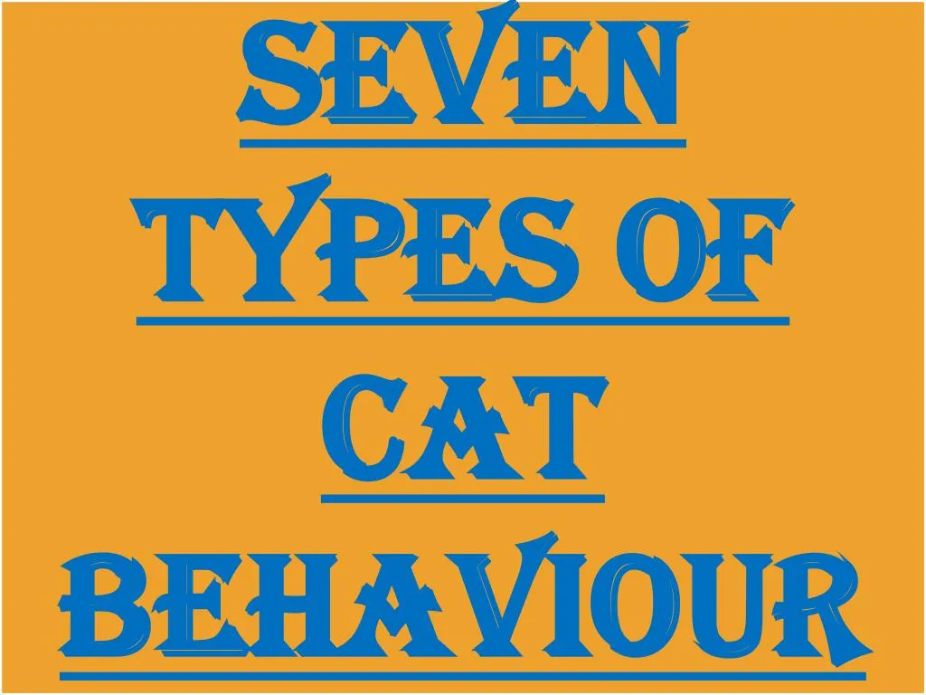 seven types of cat behaviour