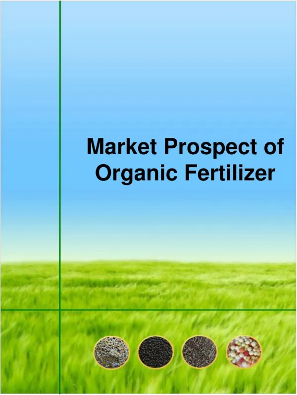 Market Prospect of Organic Fertilizer
