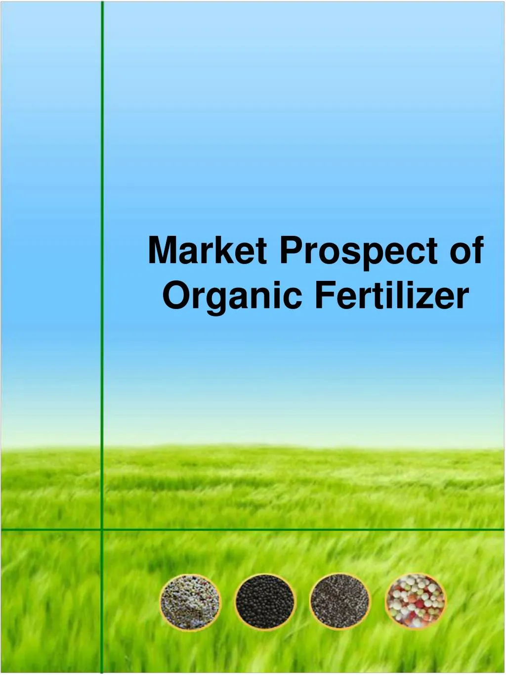 market prospect of organic fertilizer