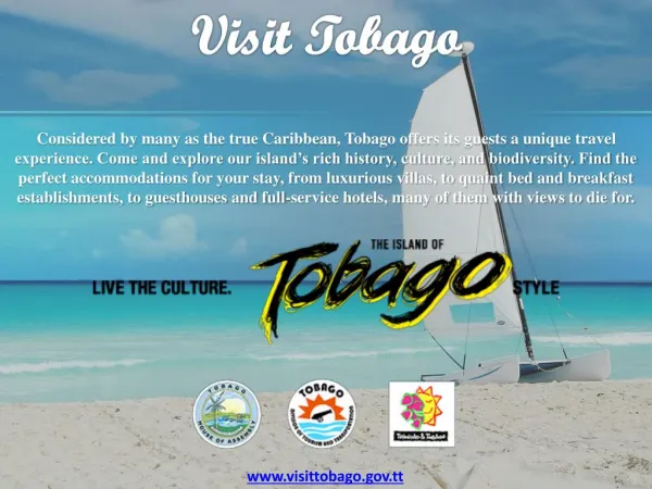 10 Reasons To Visit Tobago