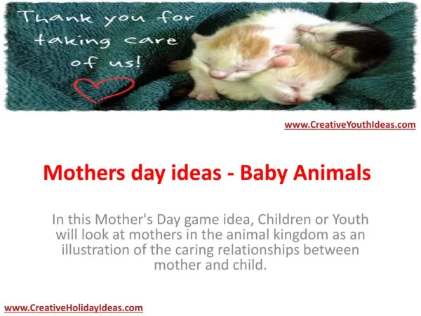 Mothers day ideas - Baby Animals