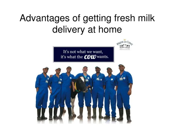 Advantages of getting fresh milk delivery at home