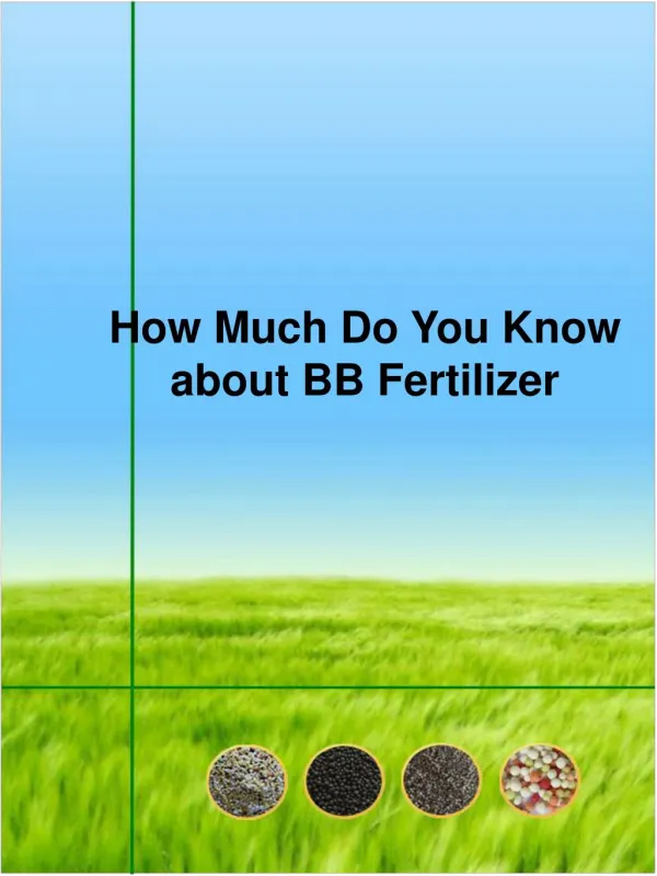 How Much Do You Know about BB Fertilizer