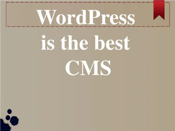 Wordpress is the best CMS