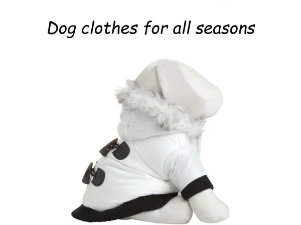 Dog clothes for all seasons
