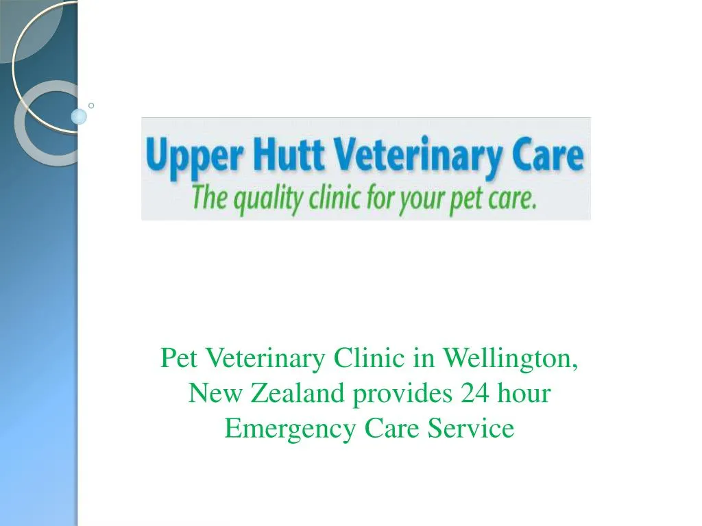 pet veterinary clinic in wellington new zealand provides 24 hour emergency care service