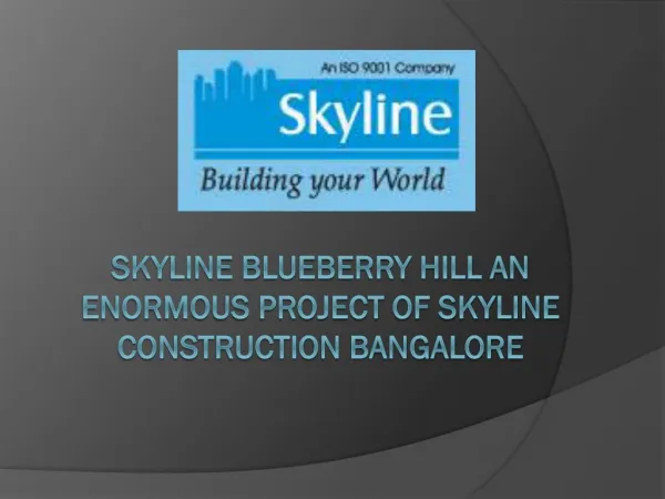 Skyline Blueberry Hill an enormous project