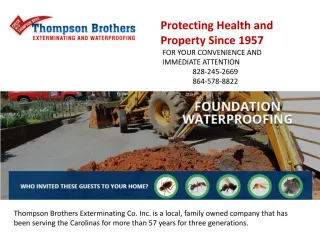 Pest Control Services - slide 1