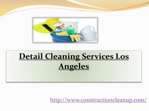 Detail Cleaning Services Los Angeles