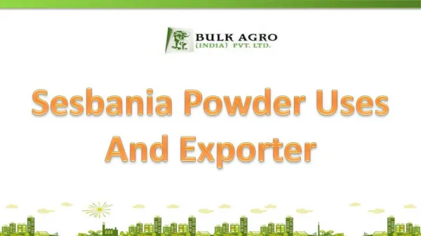 Sesbania Powder Uses And Exporter